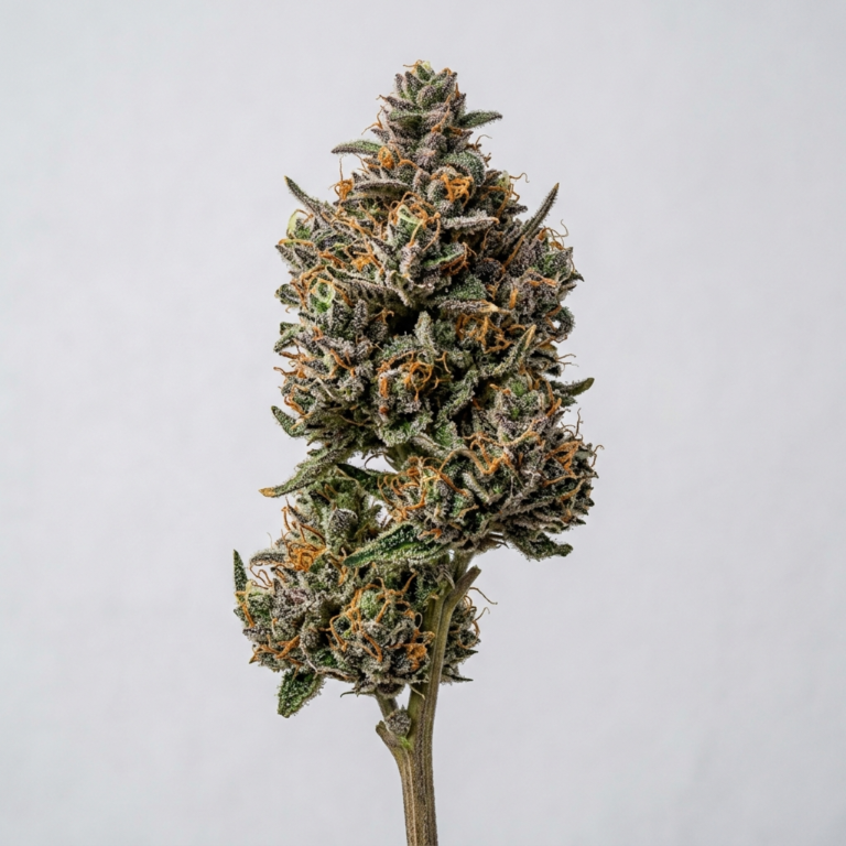 Alien Cookies