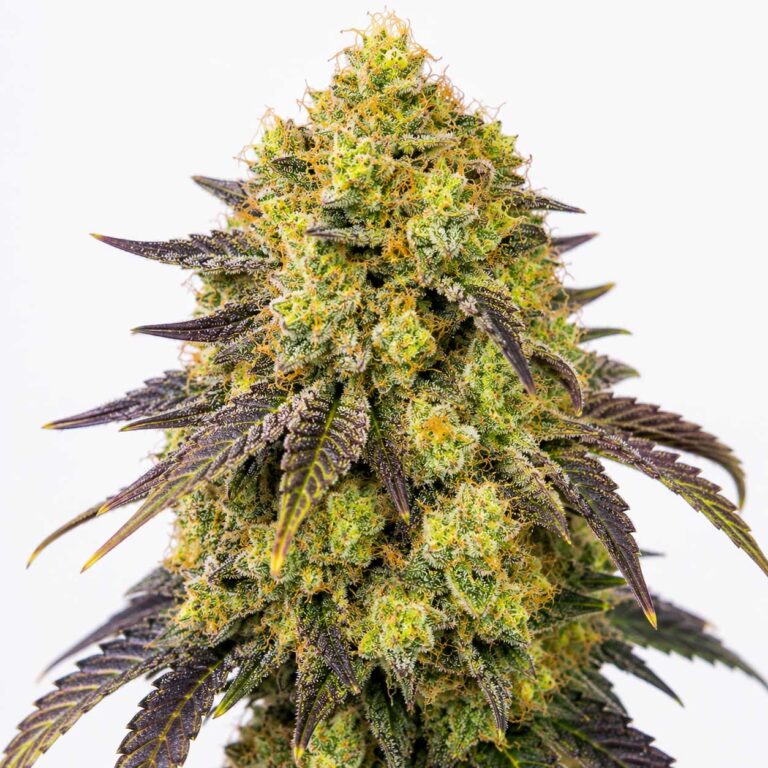 Pineapple Chunks
