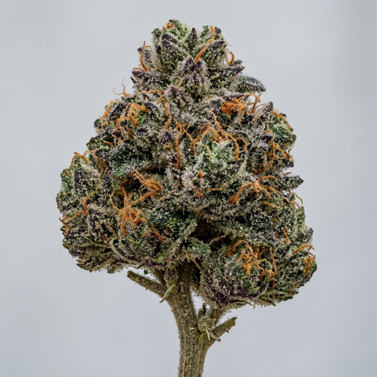 Sherbet Cake