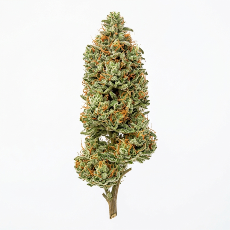 Tangie Power